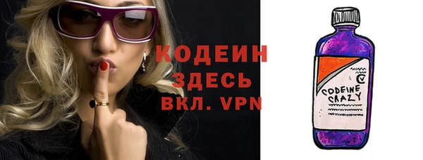 молекула духа Туринск
