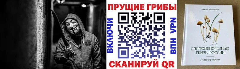 Псилоцибиновые грибы мицелий  что такое   Мариинск 