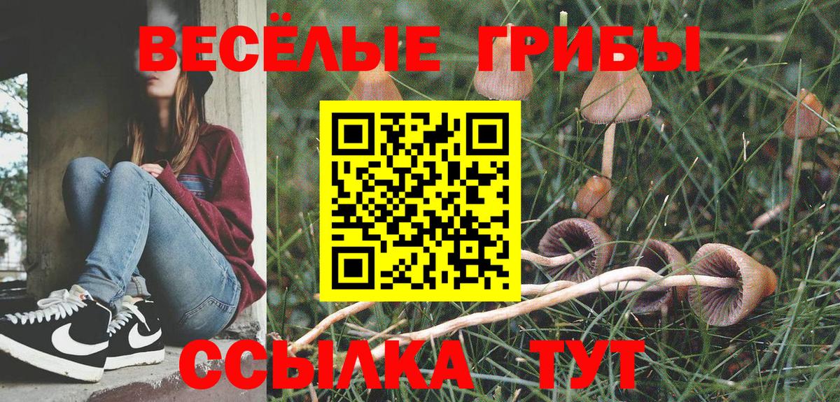 Галлюциногенные грибы мицелий Мариинск